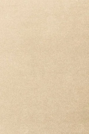 Ковровое покрытие AW Oinone 34 - (5м) в Томске