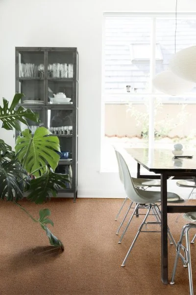 Ковровое покрытие AW Vector 84 - (4м) в Томске