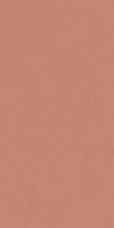 Керамогранит Italon Серфейс Скарлетт (Патинированная, 60x120) в Томске