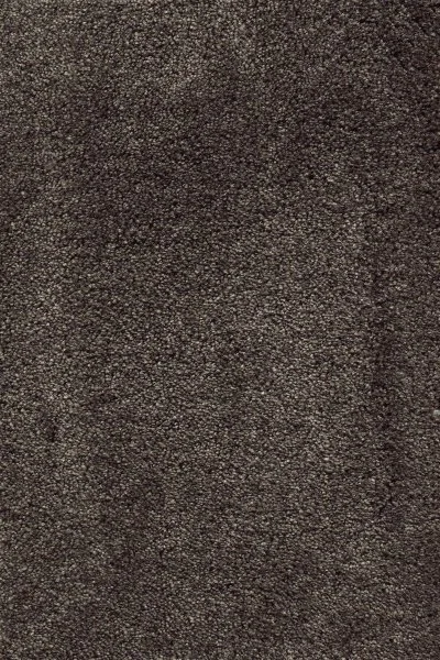 Ковровое покрытие AW Fedone 44 - (5м) в Томске