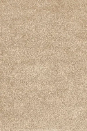 Ковровое покрытие AW Omphale 37 - (4м) в Томске