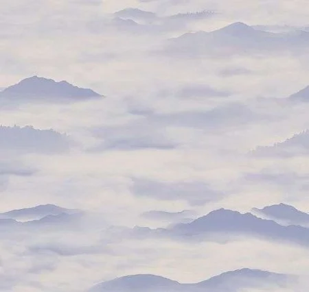 Обои Loymina Clair CLR4, 006 в Томске