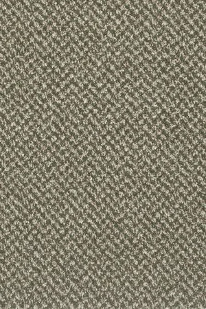 Ковровое покрытие AW Stainaway Tweed 24 - (4м) в Томске