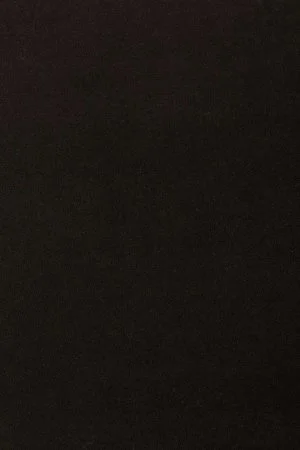 Ковровое покрытие AW Oinone 99 - (5м) в Томске