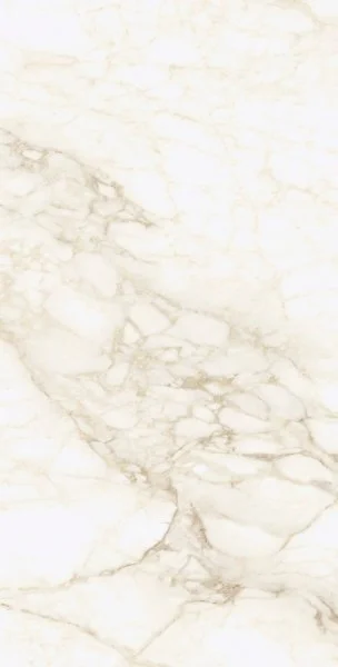 Керамогранит Coliseum Микеланджело Ворм 60х120 (Натуральный и Реттифицированный) в Томске