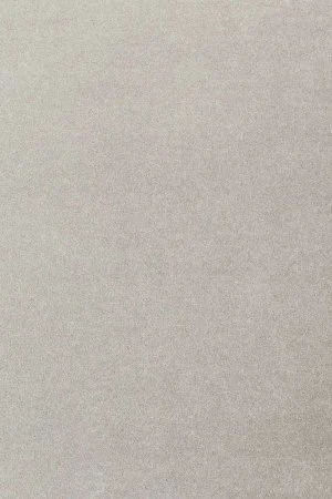 Ковровое покрытие AW Oinone 92 - (5м) в Томске