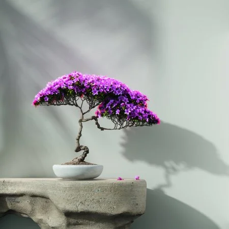 Обои Loymina Lotus LOT1 112 в Томске