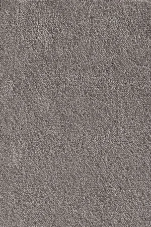 Ковровое покрытие AW Messalina 49 - (5м) в Томске