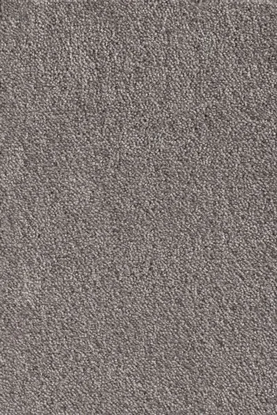 Ковровое покрытие AW Messalina 49 - (5м) в Томске