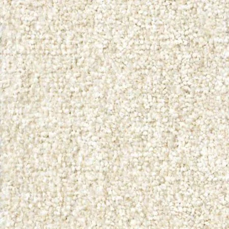 Ковровое покрытие Zartex Парадиз 565 Пломбир - 3 м в Томске