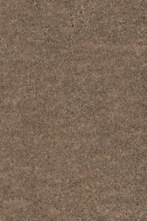 Ковровое покрытие AW Euphoria 36 - (5м) в Томске