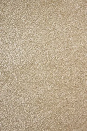 Ковровое покрытие AW Euphoria 33 - (4м) в Томске