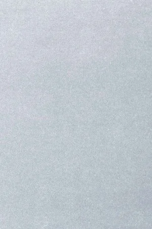 Ковровое покрытие AW Oinone 07 - (5м) в Томске