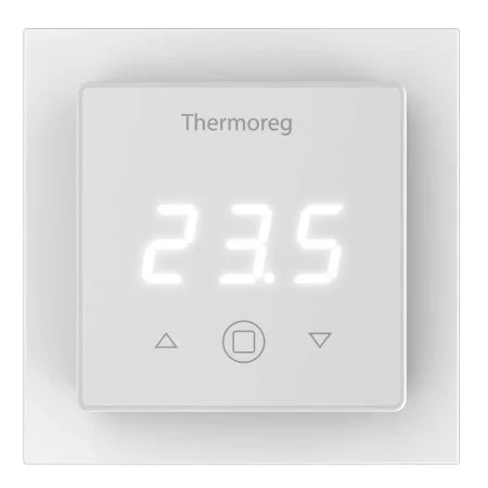 Терморегулятор Thermoreg TI-300 в Томске