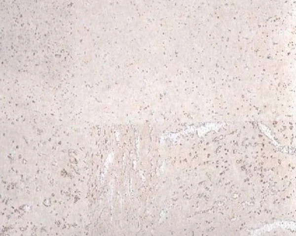 Настенное пробковое покрытие CorkArt PW 386 WS в Томске