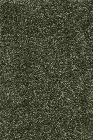 Ковровое покрытие AW Certosa 24 - (5м) в Томске