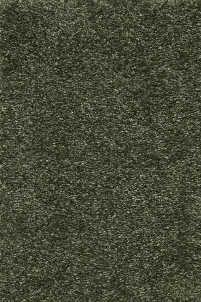 Ковровое покрытие AW Certosa 24 - (4м) в Томске