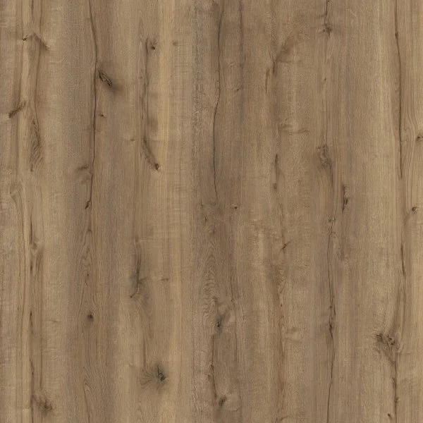 50677 Дуб Лоусон