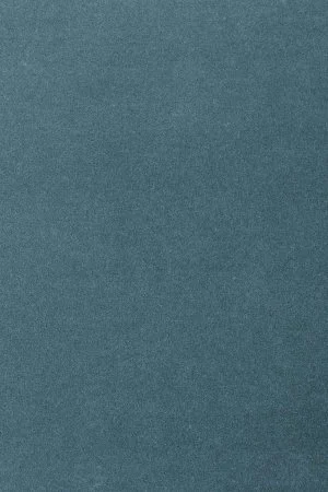 Ковровое покрытие AW Oinone 74 - (4м) в Томске