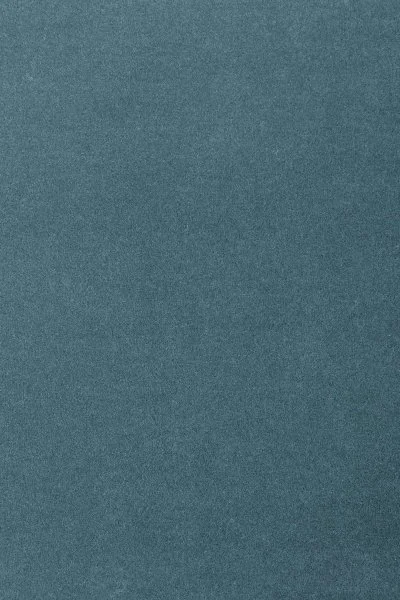 Ковровое покрытие AW Oinone 74 - (5м) в Томске