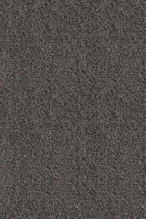 Ковровое покрытие AW Messalina 99 - (5м) в Томске