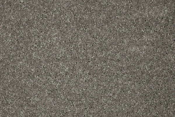 Ковровое покрытие AW Gala 94 - (5м) в Томске