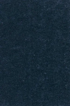 Ковровое покрытие AW Fedone 78 - (5м) в Томске