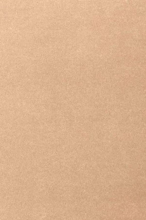 Ковровое покрытие AW Oinone 08 - (4м) в Томске