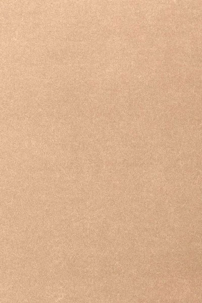 Ковровое покрытие AW Oinone 08 - (4м) в Томске