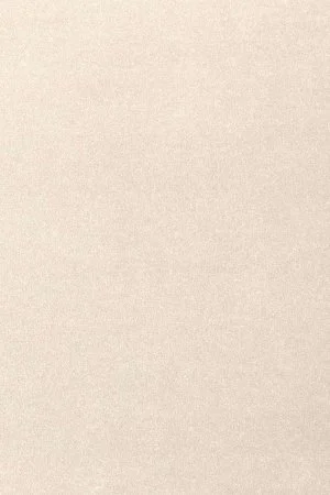 Ковровое покрытие AW Oinone 03 - (5м) в Томске