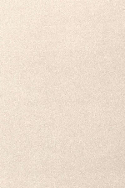 Ковровое покрытие AW Oinone 03 - (5м) в Томске