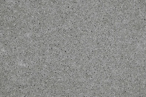 Ковровое покрытие AW Gala 90 - (4м) в Томске