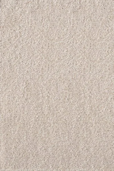 Ковровое покрытие AW Messalina 34 - (5м) в Томске