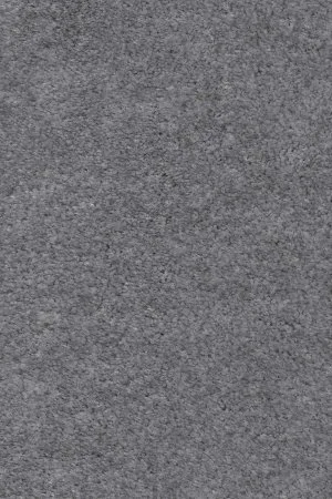 Ковровое покрытие AW Euphoria 95 - (4м) в Томске