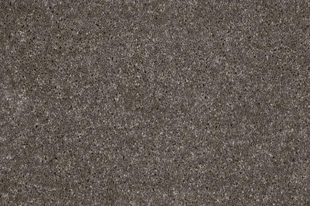 Ковровое покрытие AW Gala 49 - (4м) в Томске