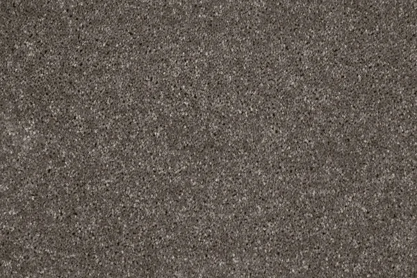 Ковровое покрытие AW Gala 49 - (4м) в Томске