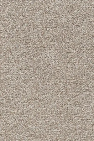 Ковровое покрытие AW Stainguard Harvest 04 - (4м) в Томске