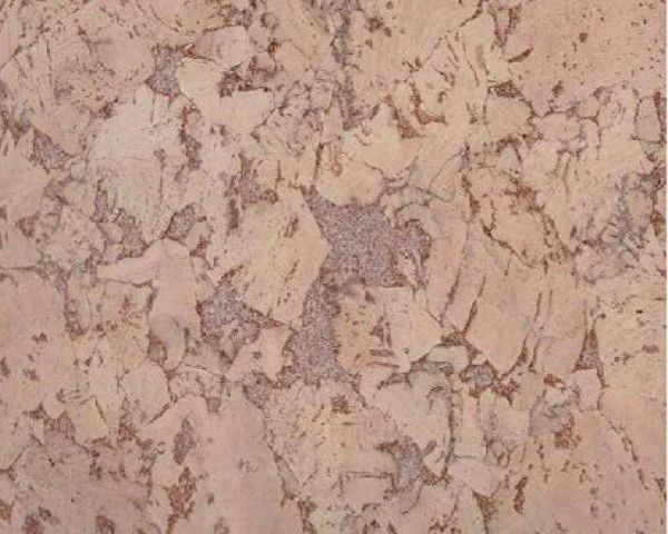 Настенное пробковое покрытие CorkArt PW 324 NK в Томске