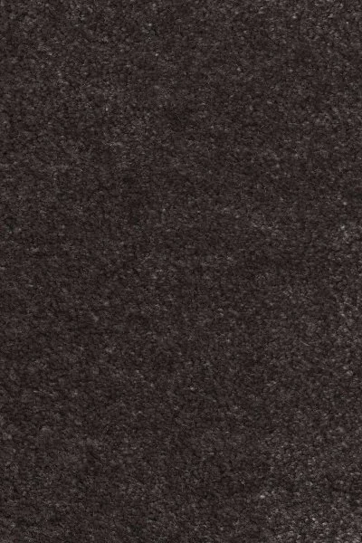 Ковровое покрытие AW Euphoria 43 - (4м) в Томске