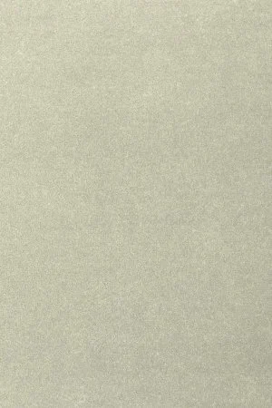 Ковровое покрытие AW Oinone 02 - (4м) в Томске