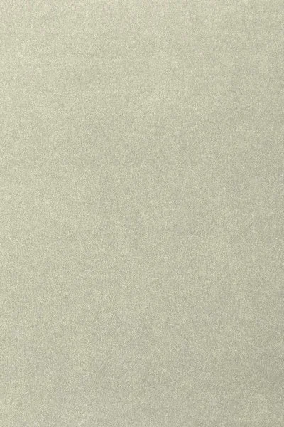 Ковровое покрытие AW Oinone 02 - (4м) в Томске