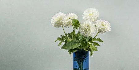 Обои Loymina Shade vol.2 SDR5, 001 в Томске