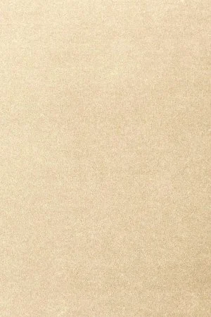 Ковровое покрытие AW Oinone 33 - (5м) в Томске