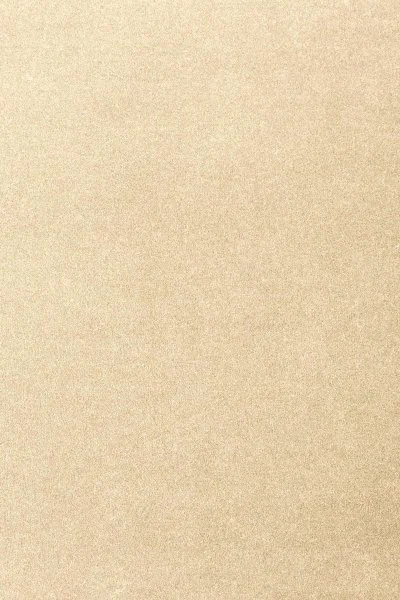 Ковровое покрытие AW Oinone 33 - (4м) в Томске