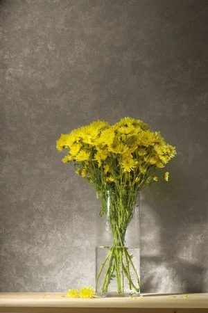 Обои Loymina Golden Library TDG 7, 008 в Томске