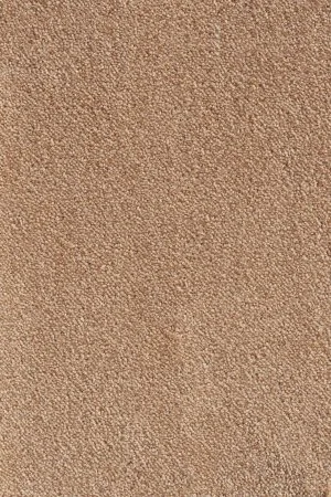 Ковровое покрытие AW Messalina 38 - (5м) в Томске