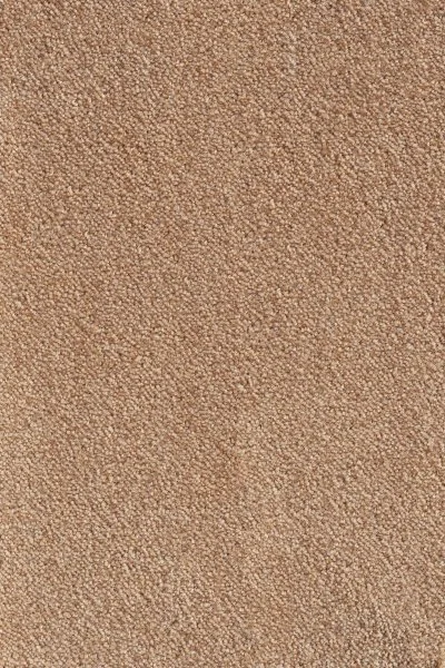 Ковровое покрытие AW Messalina 38 - (5м) в Томске