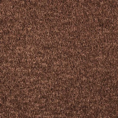 Ковровое покрытие AW Kiama 48 - (4м) в Томске