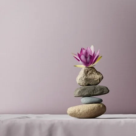 Обои Loymina Textile TXL3 007 в Томске