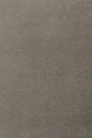 Ковровое покрытие AW Oinone 95 - (4м) в Томске